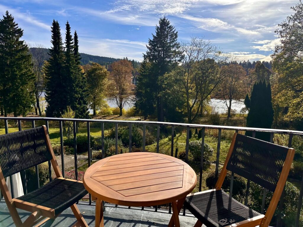 Balkon mit Blick über Bäume zum Kranichsee