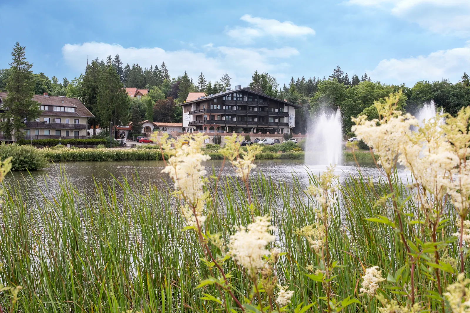 Die Häuser am Kranichsee im Sommer, mit Fontäne und Uferwiese