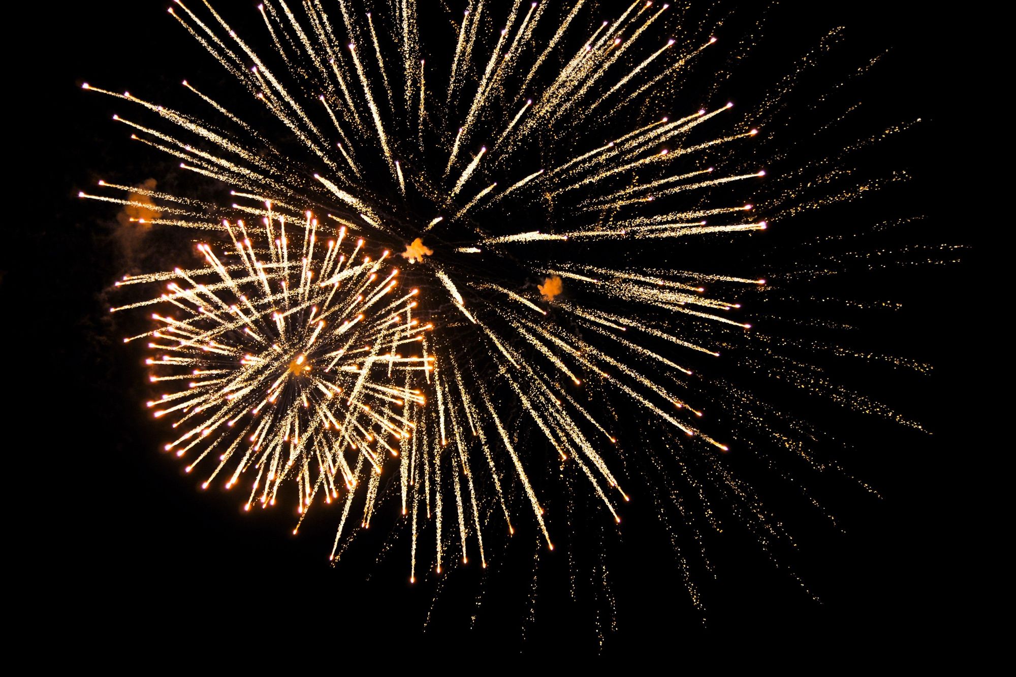Silvester im Kranichsee