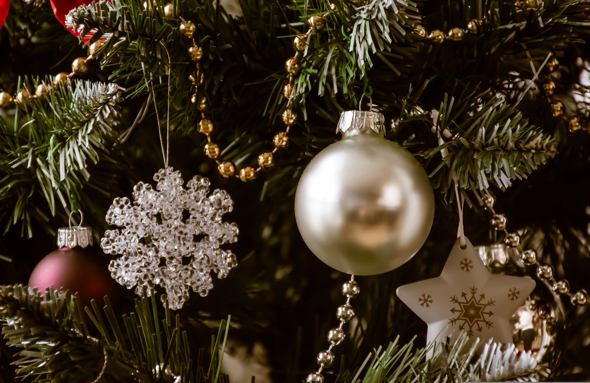 Weihnachten im Kranichsee